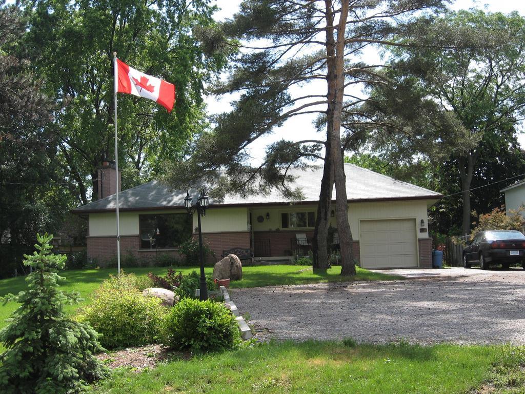 פיטרבורו Twin Pines Bed And Breakfast מראה חיצוני תמונה
